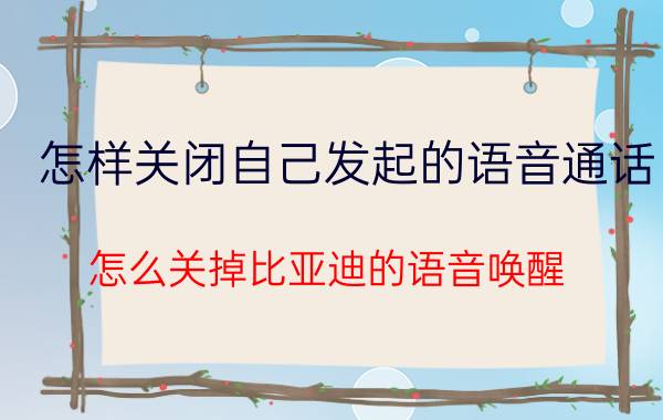 怎样关闭自己发起的语音通话 怎么关掉比亚迪的语音唤醒？